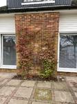 Window Doors Conservatories Bi fold doors Roofline Products based in Kenley Surrey covering Croydon Purley South Croydon Oxted Redhill Reigate